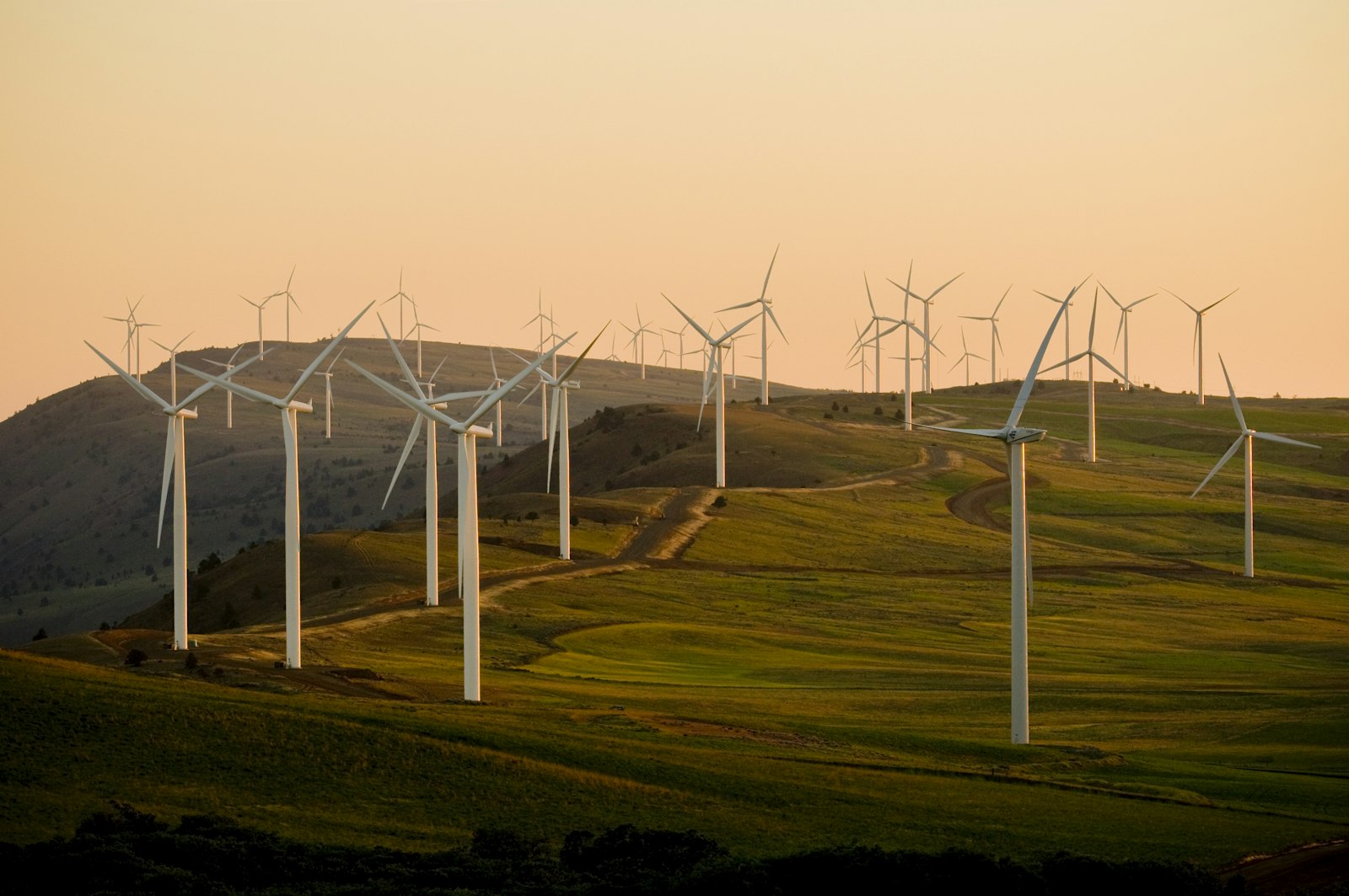 White wind turbines on a green field under a clear sky in Castile